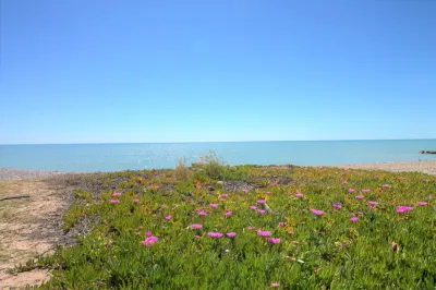VIVE TODO EL AÑO EN UNA BONITA URBANIZACIÓN DE LA PLAYA DE MONCOFA 47
