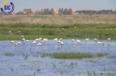 CASA INDEPENDIENTE EN LA TRANQUILA PLAYA DE CASABLANCA 61