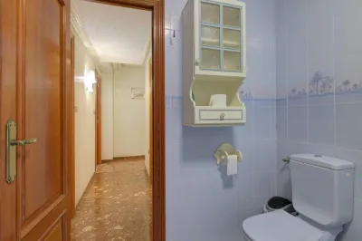 AMPLIO PISO EN EL CENTRO DE VALL DUIXO 27