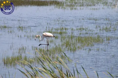 APARTAMENTO CON ENCANTO EN PLAYA DE CASABLANCA 61