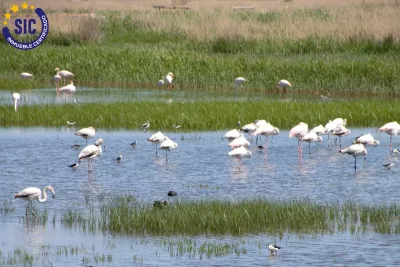 LOCAL CON POSIBILIDADES EN ALMENARA PLAYA 32