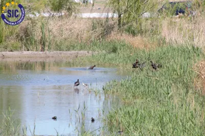 LOCAL CON POSIBILIDADES EN ALMENARA PLAYA 33
