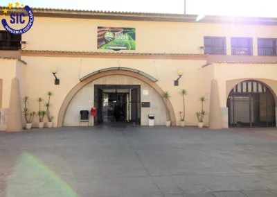 TERRENO URBANO EN SAGUNTO ZONA NUEVA 18