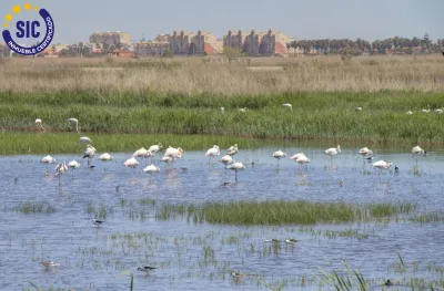TU REFUGIO JUNTO AL MAR EN CASABLANCA (ALMENARA) 73