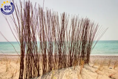 APARTAMENTO CON VISTAS AL MAR EN PLAYA DE MONCOFAR-CHILCHES 58